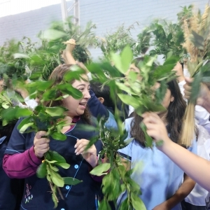 Celebración de Ramos